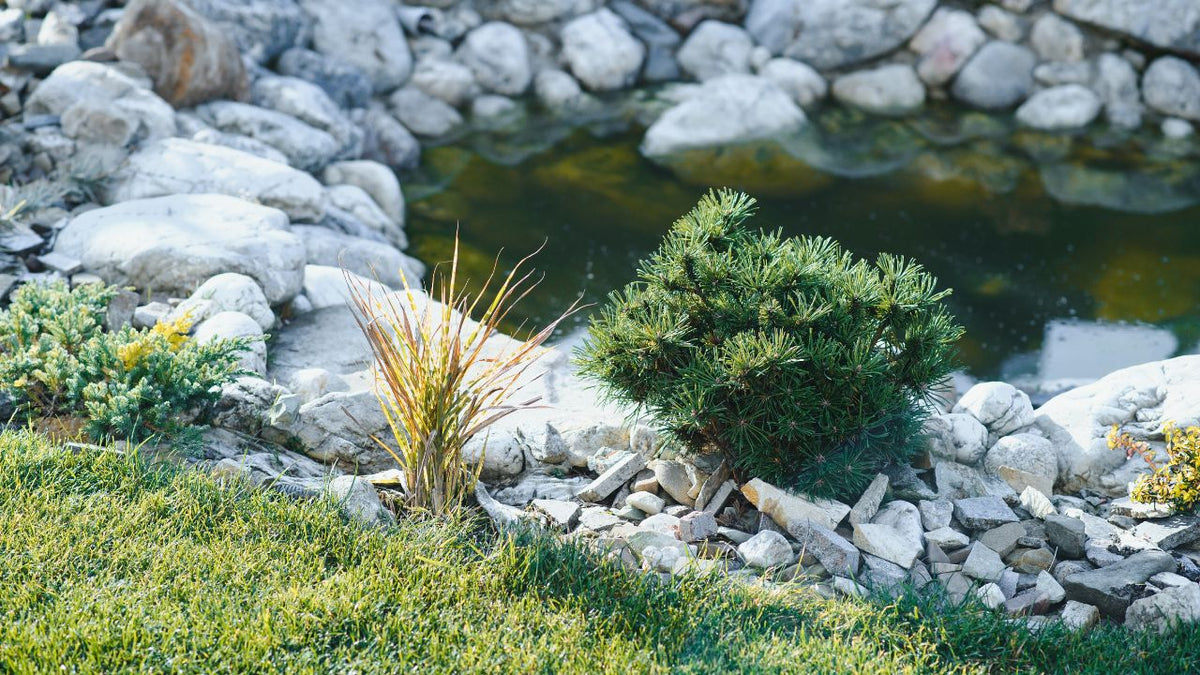 How to Hide Pond Liner Edges & Secure Top Stones: DIY Tricks for a Truly Natural Water Garden