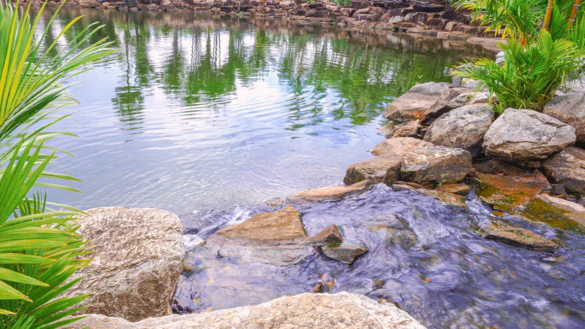 How to Level a Pond