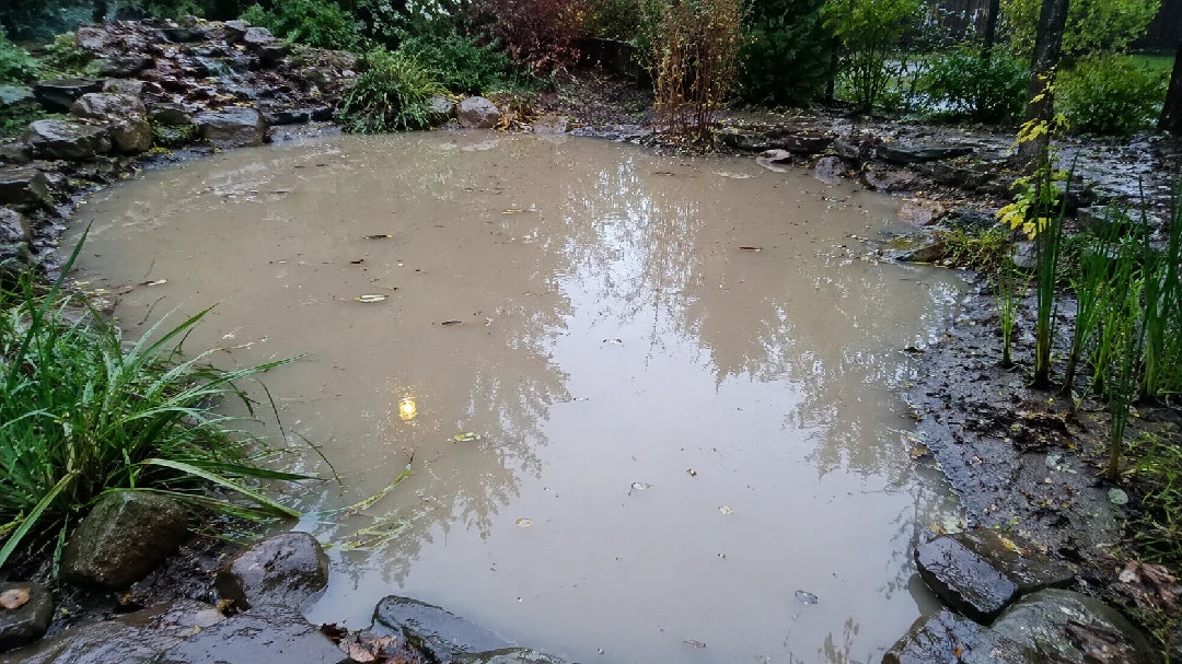 How to Restore Water Clarity After Heavy Rain