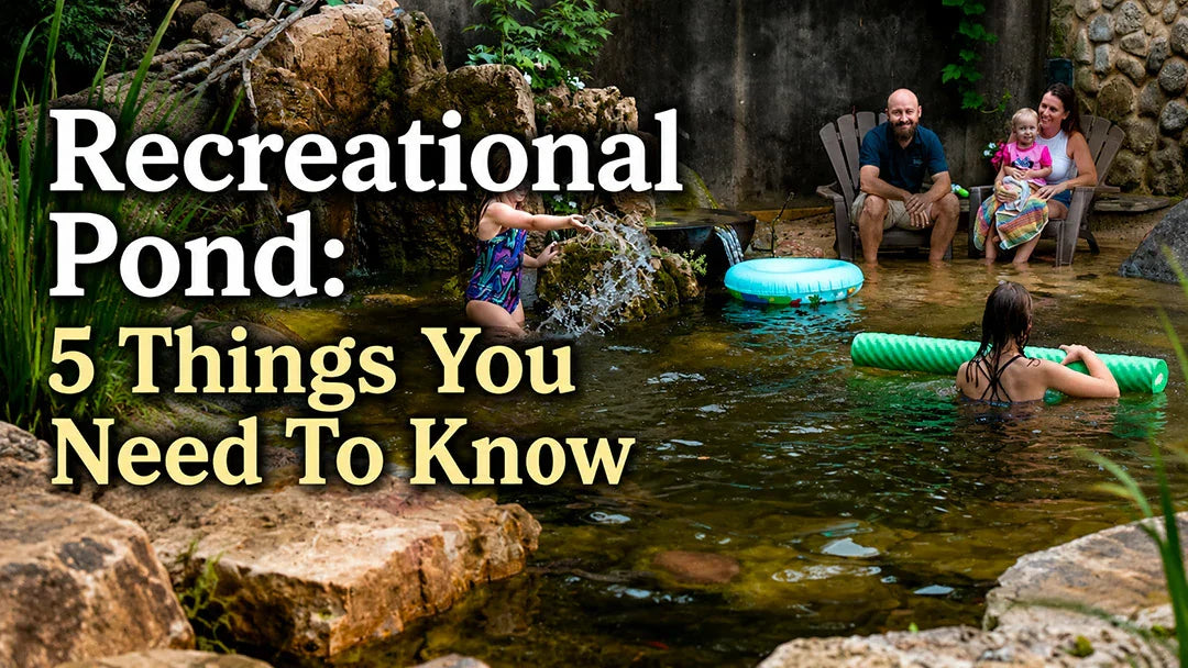 Recreational Pond Things to Know