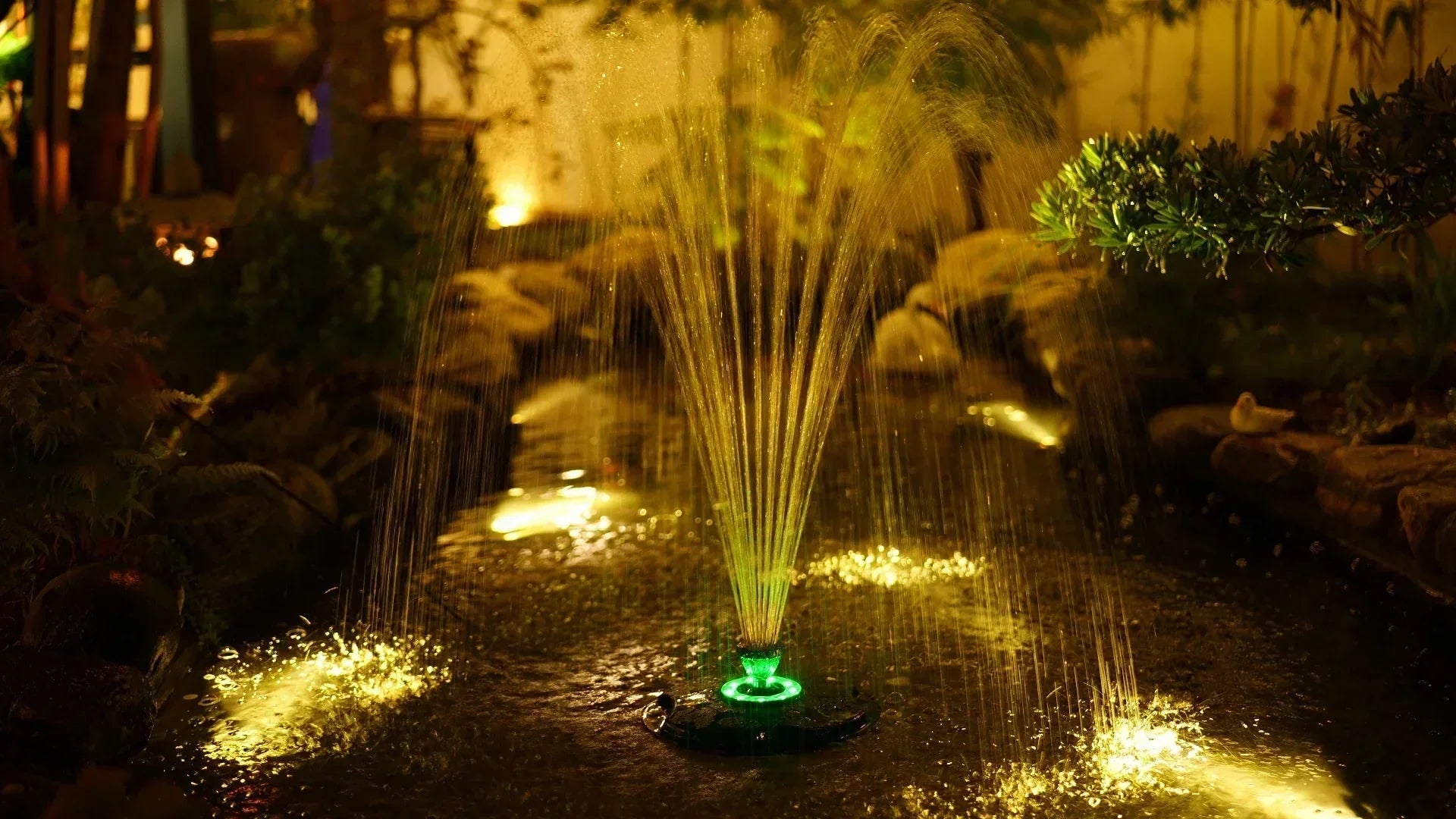 Solar Lighting