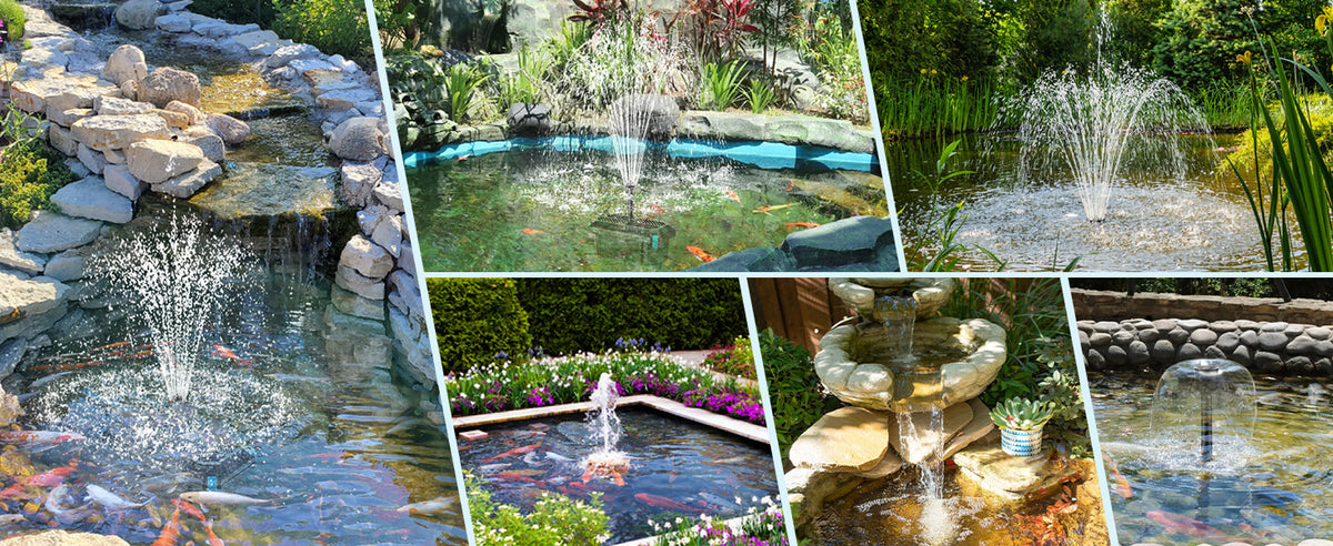 Real Customer Ponds, Real Results