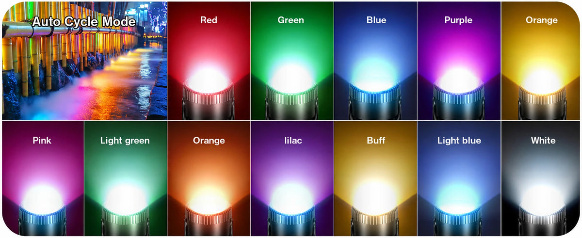 auto cycle koi pond lights