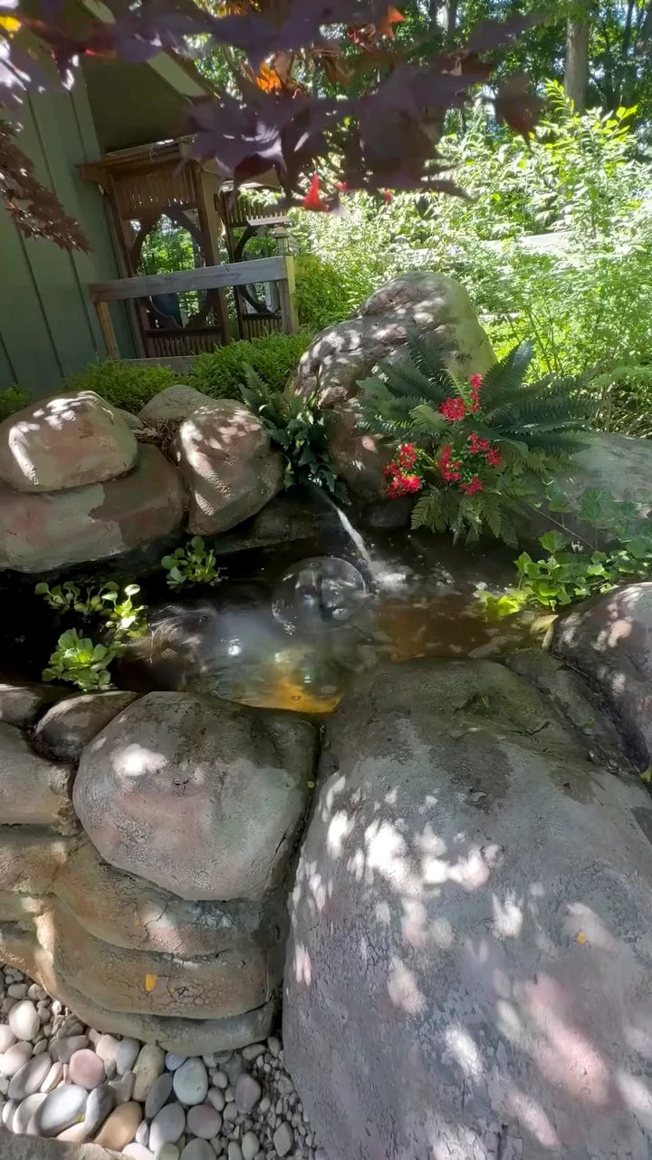 Quiet corner of Megan's rock garden water feature