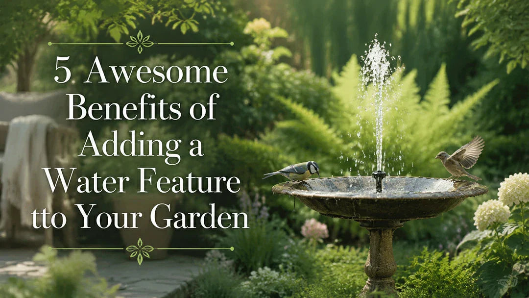 Benefits of Adding a Water Feature