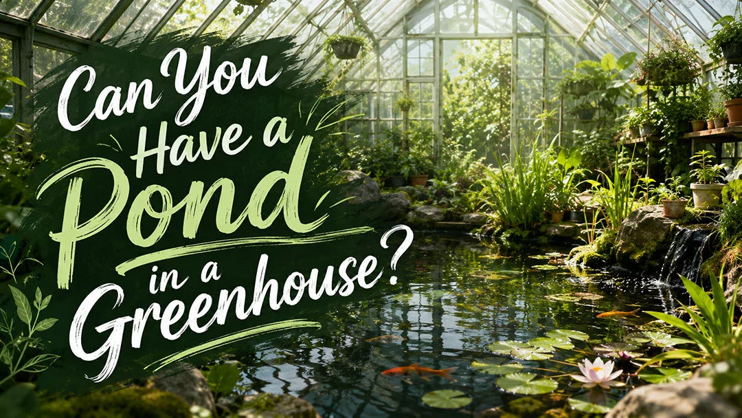 Can You Have a Pond in a Greenhouse