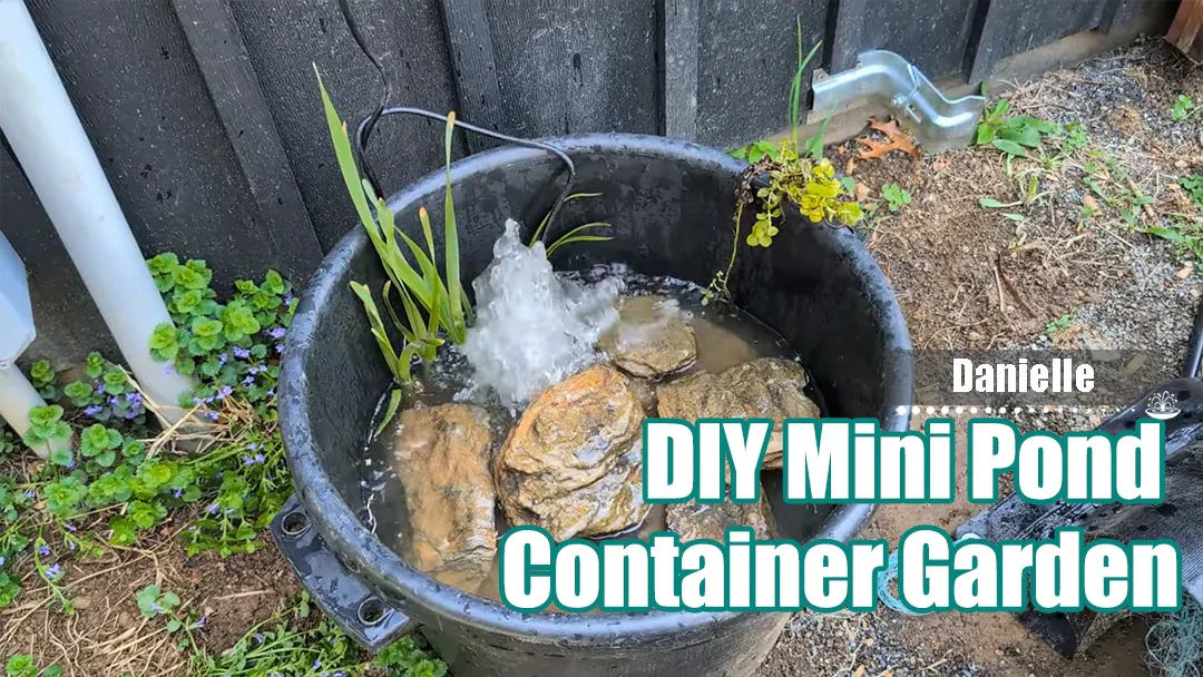 DIY Mini Pond Container Garden
