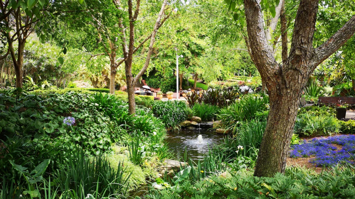 Shade-Loving Ponds