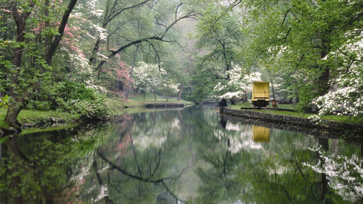 Ponds Mill: History, Beauty, and How to Recreate the Charm