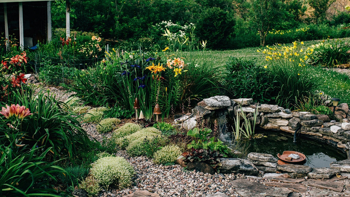 building a families kid-safe pond
