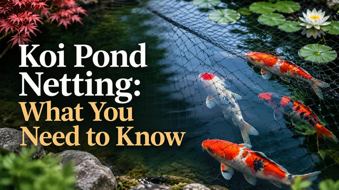 koi pond netting