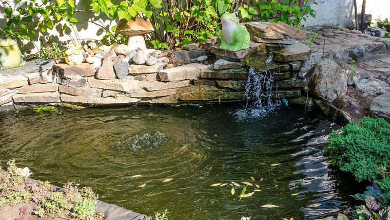 Pros and Cons of Pond Liner vs. Preformed Ponds