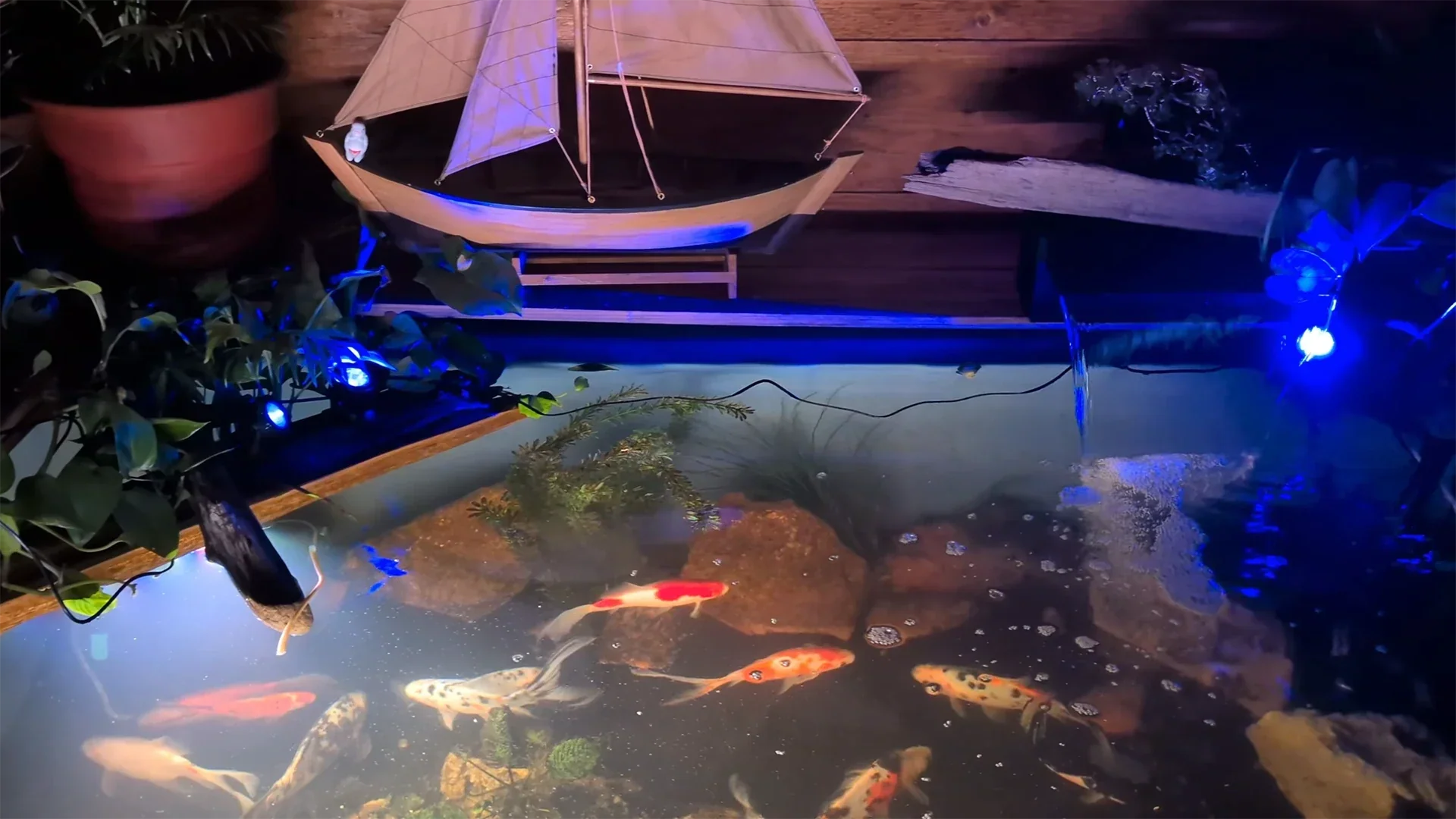 waterproof adjustable solar fish pond light review