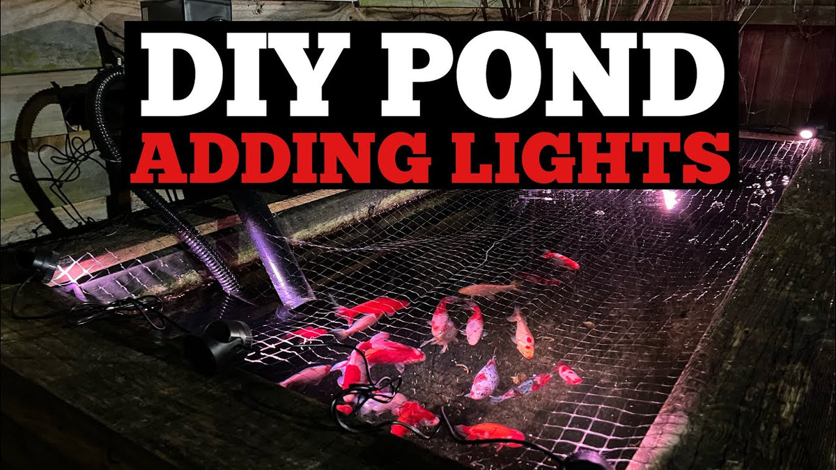My DIY Pond Light Installation Experience