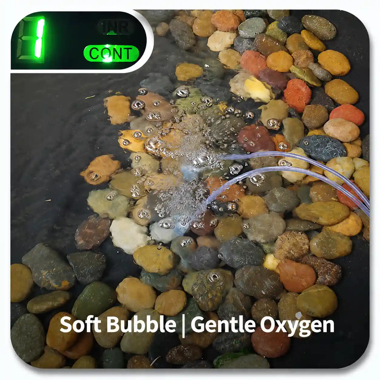 3W_soft_bubble