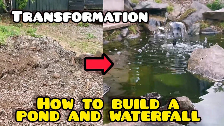 Backyard pond waterfall project with rocks and plants