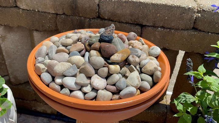 DIY solar bird bath fountain for a backyard garden