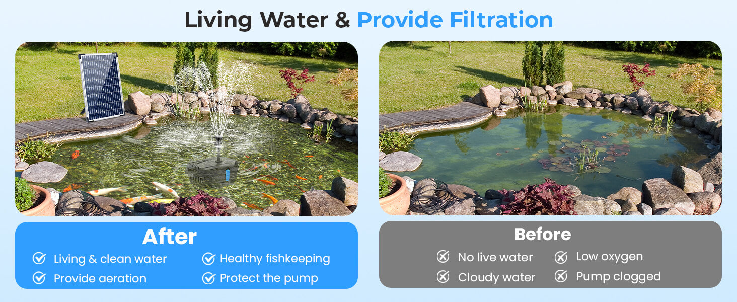 Enhance Your Pond's Ecosystem