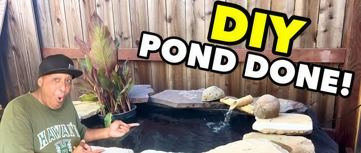 Small DIY above ground pond project for a backyard