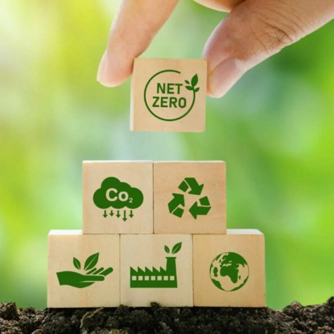 Carbon Neutrality