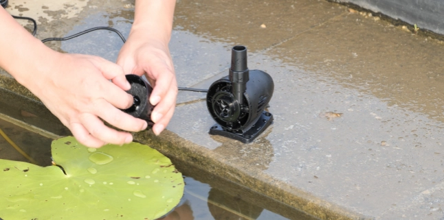 Fountain guide image