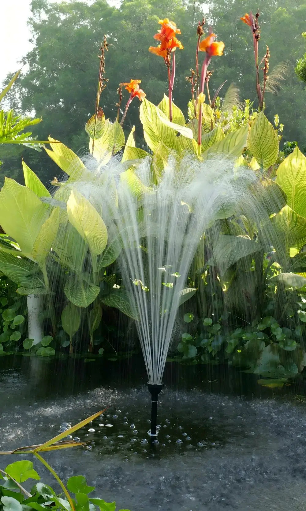 Fountain Pumps