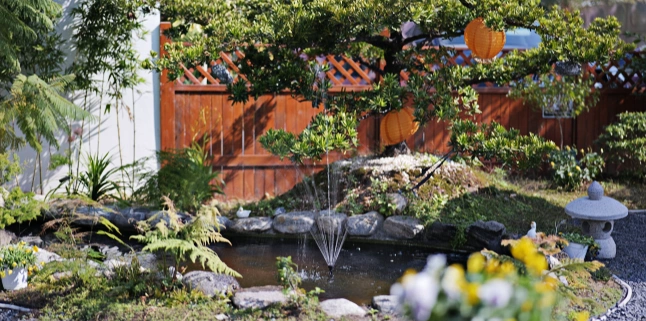 Backyard pond guide image