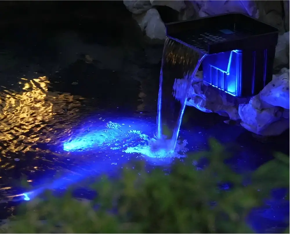 Pond Lights