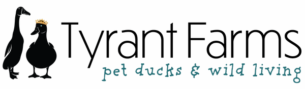 Logo 23