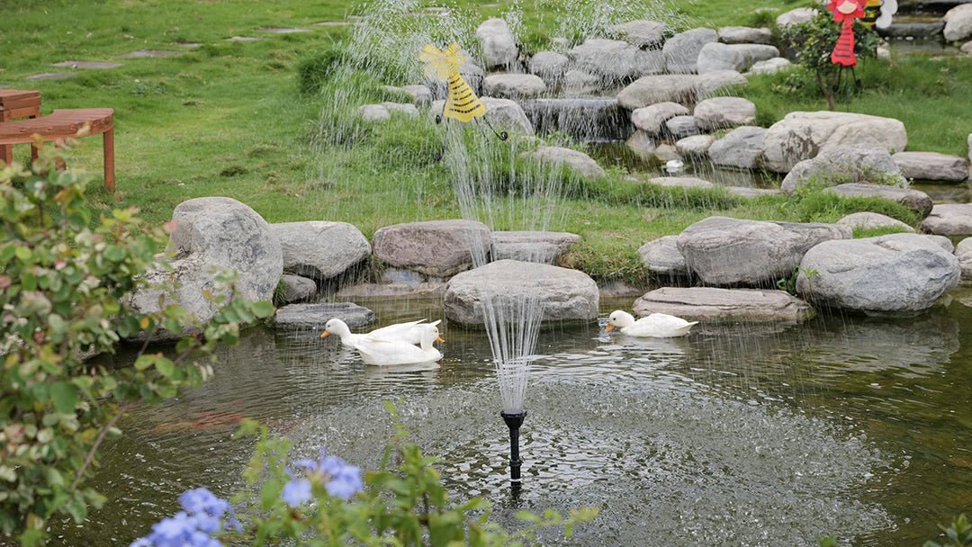 duck_pond_filtration