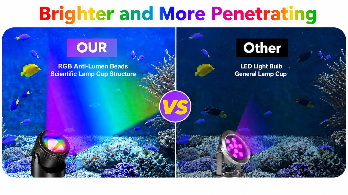 koi pond lights brighter