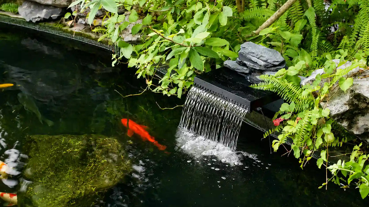 Fish tank waterfall for pond