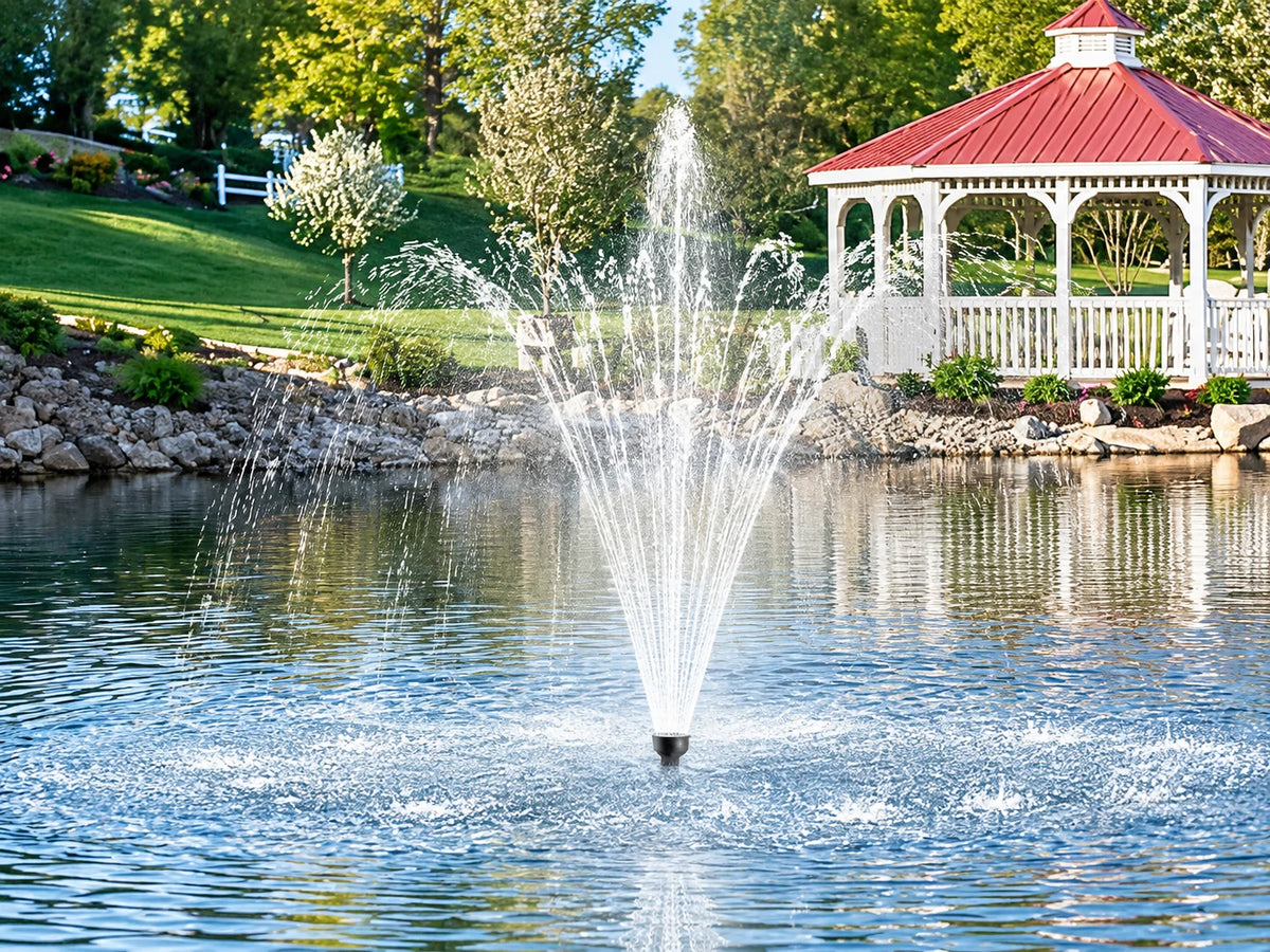 Ponds
