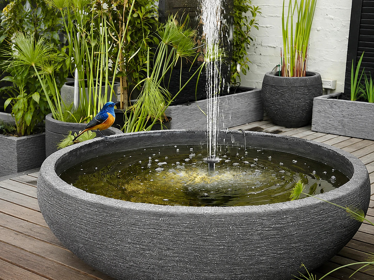 Bird Bath