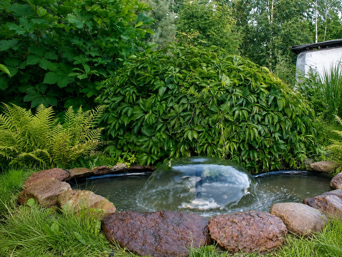 Garden Pond