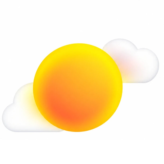 Sunny Day