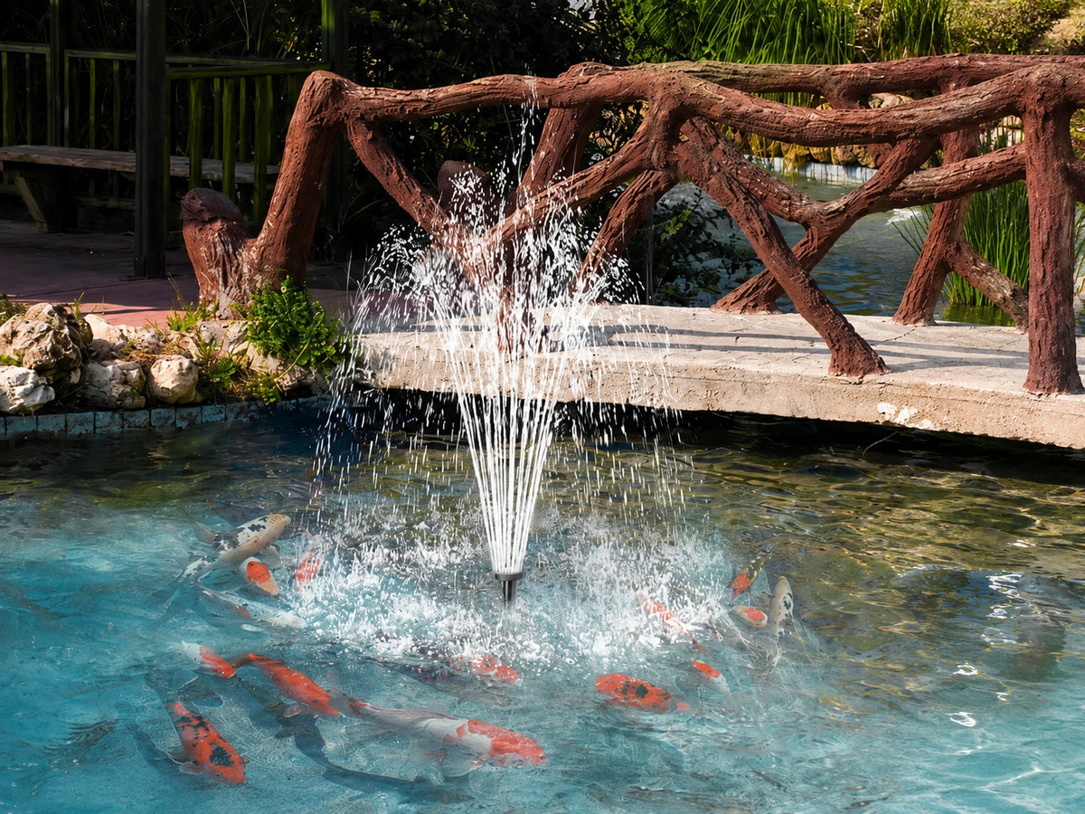 Fish Pond
